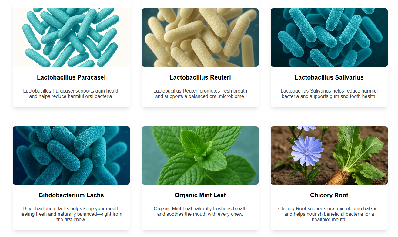 Captura de tela 2026 01 02 113850